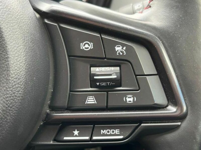 LEVORG-3