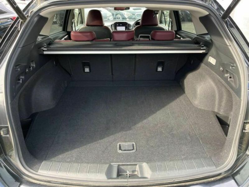 LEVORG-12