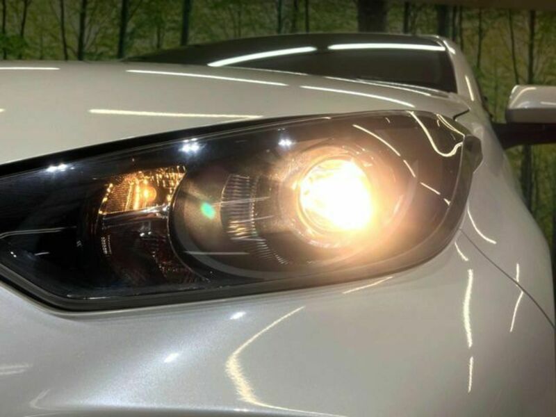 YARIS-11