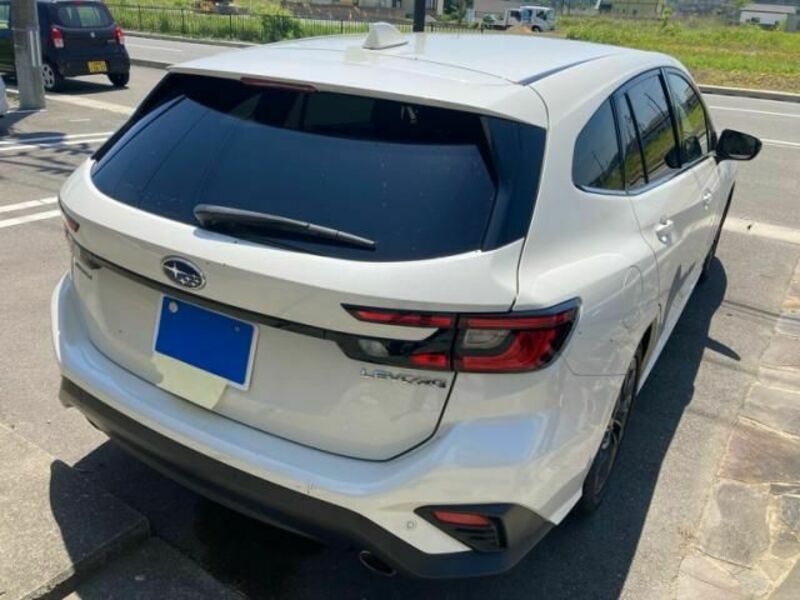 LEVORG