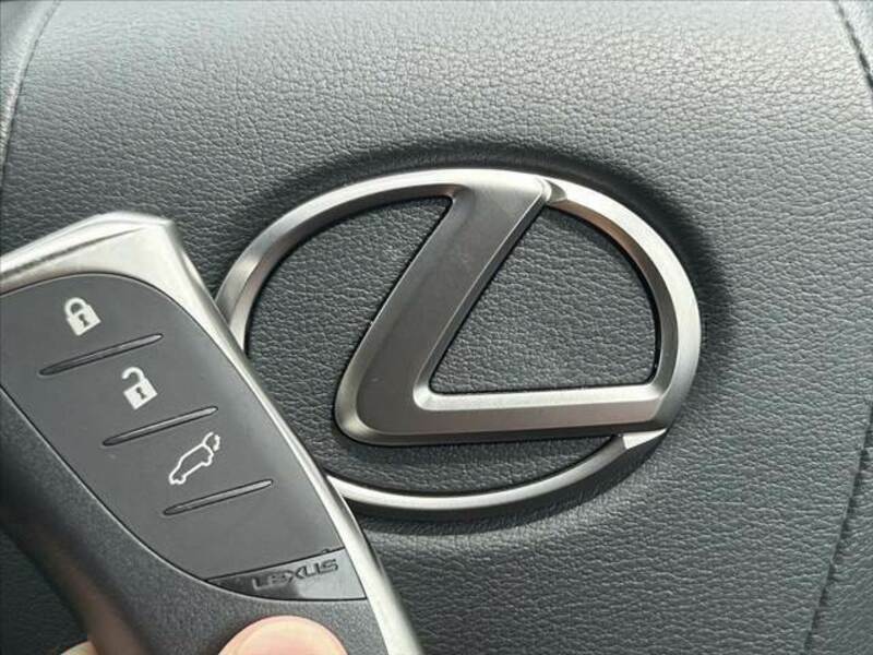 NX