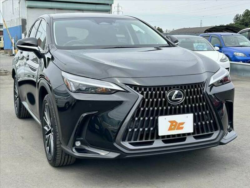 NX