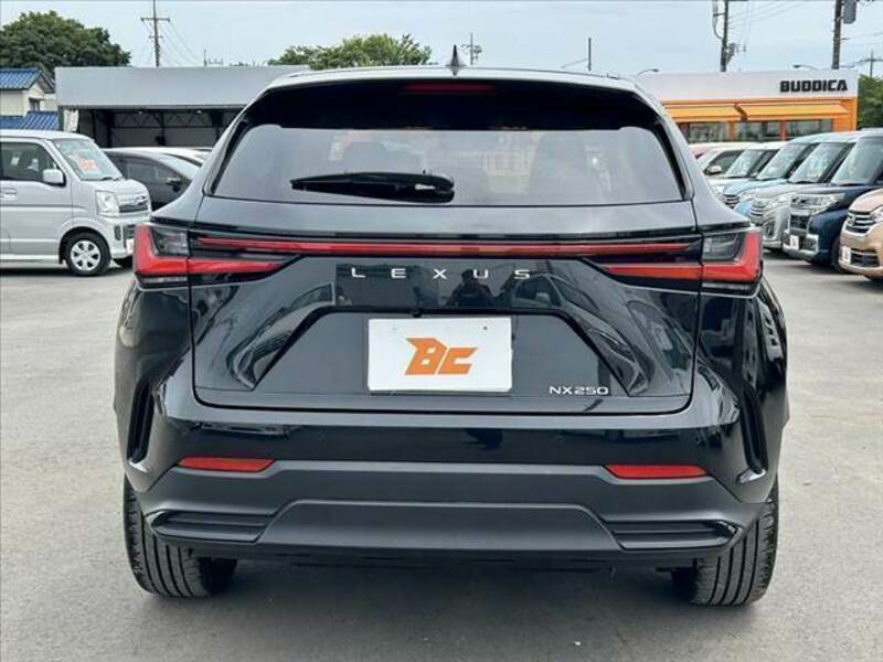 NX