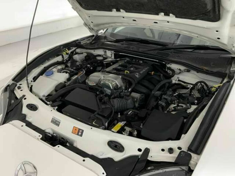 ROADSTER RF