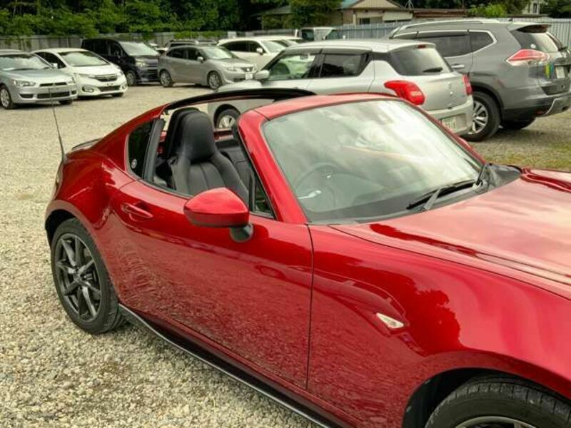 ROADSTER RF