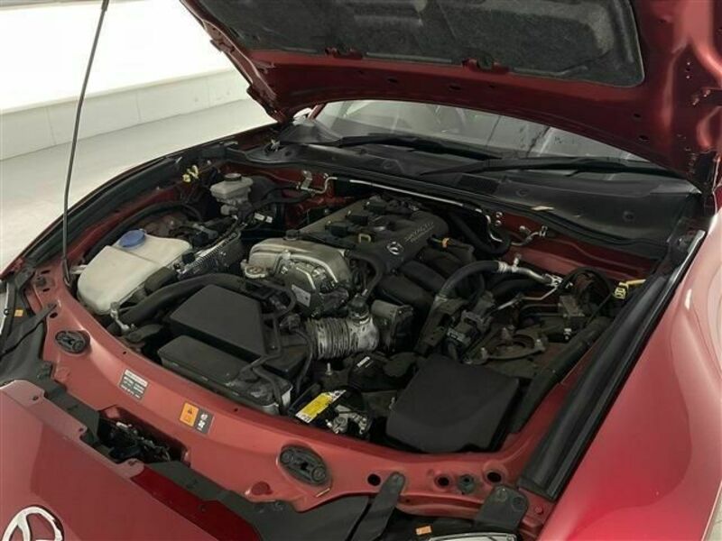 ROADSTER RF