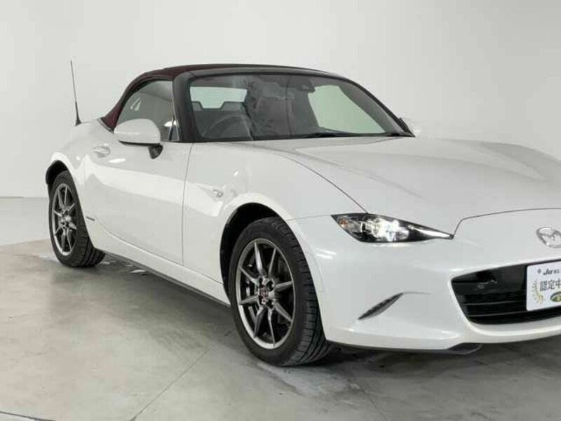ROADSTER