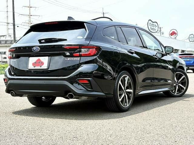 LEVORG