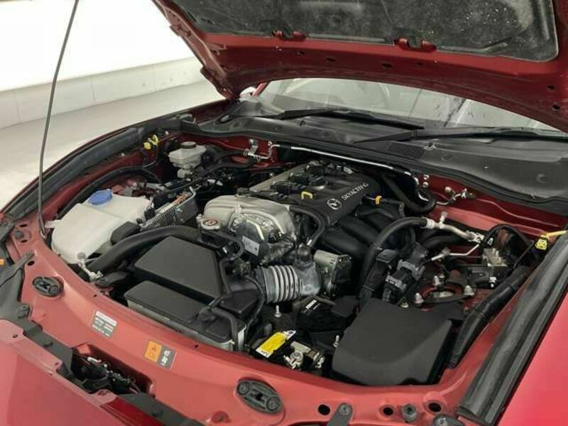 ROADSTER RF