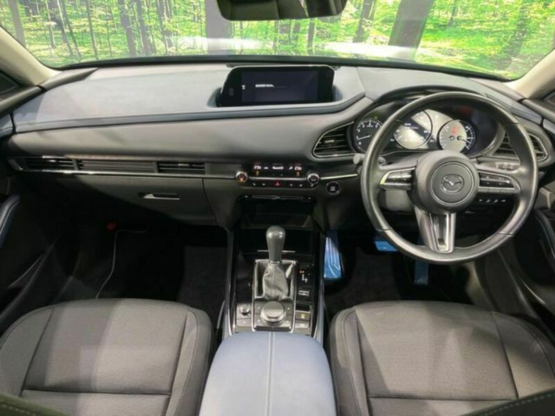CX-30