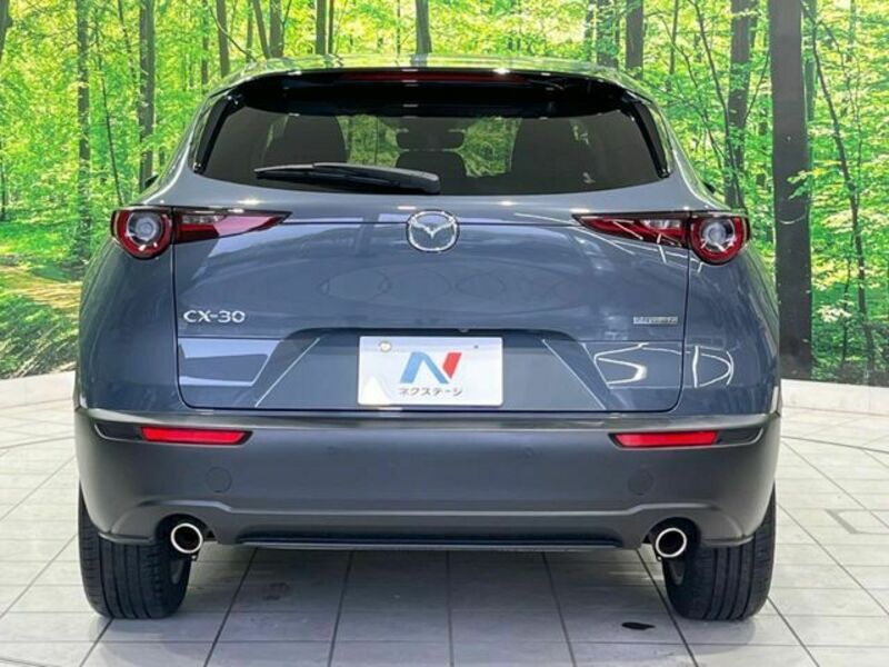 CX-30