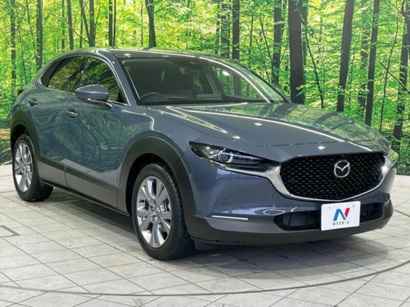CX-30