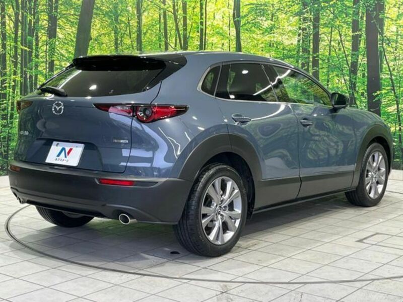 CX-30
