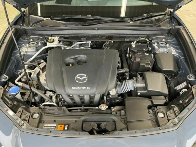 CX-30