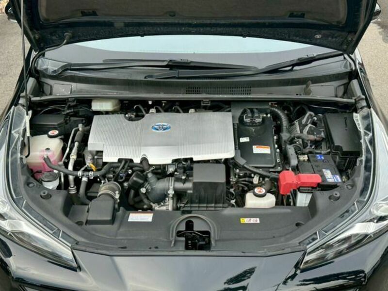 PRIUS-16