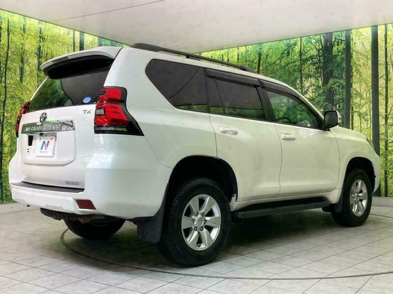 LAND CRUISER PRADO-3