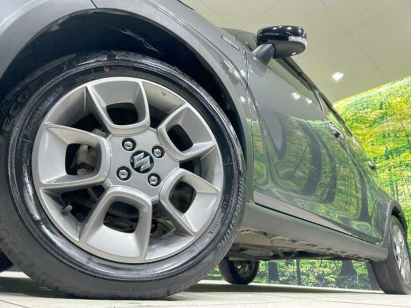IGNIS