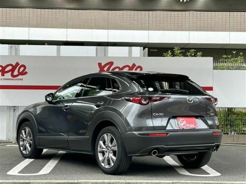 CX-30