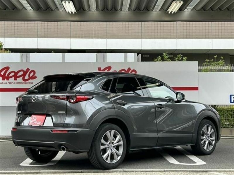 CX-30