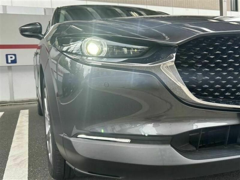 CX-30
