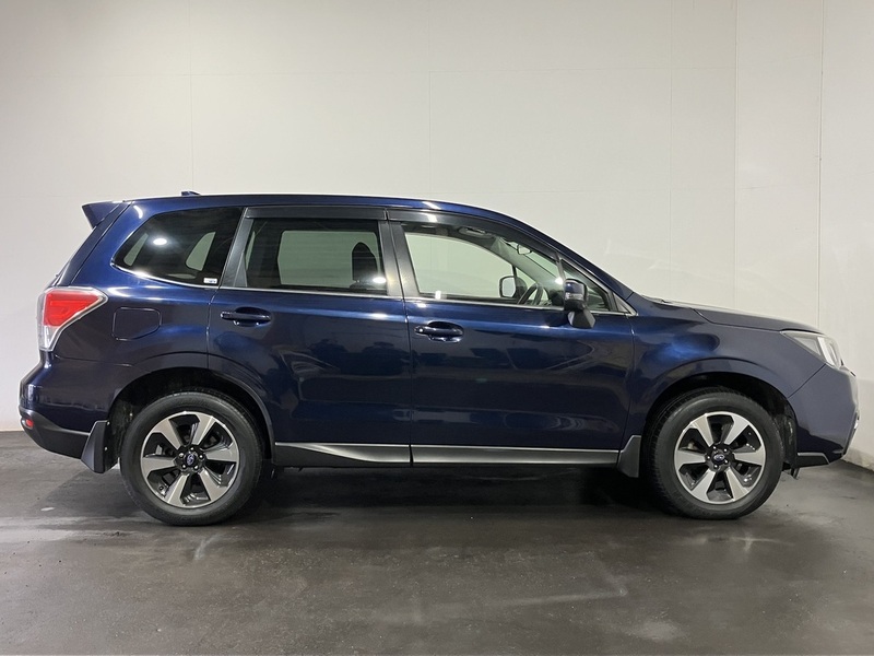 FORESTER