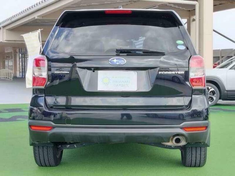 FORESTER