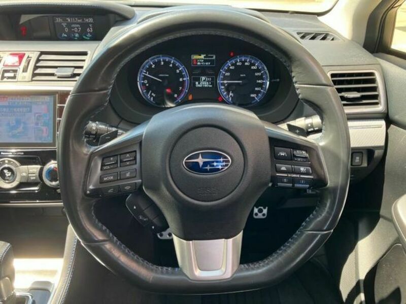 LEVORG
