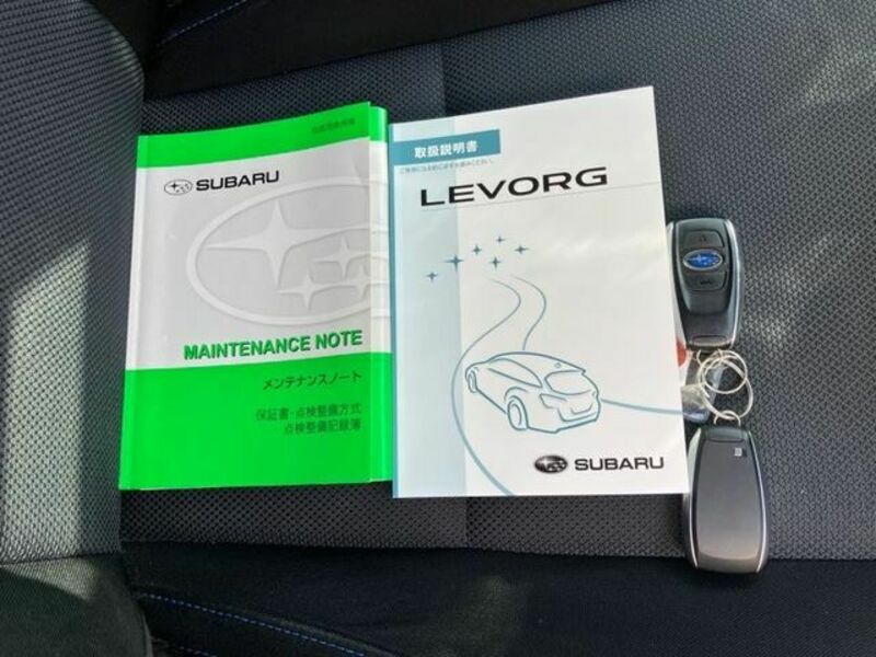 LEVORG