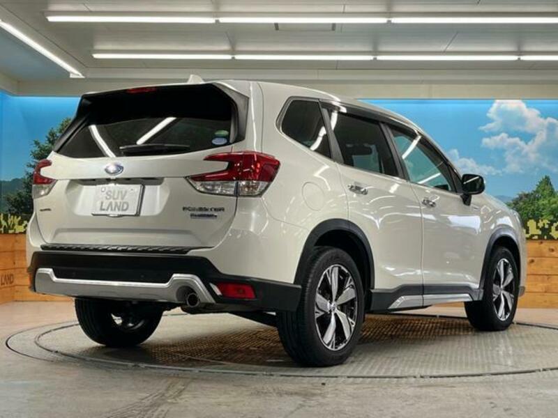 FORESTER