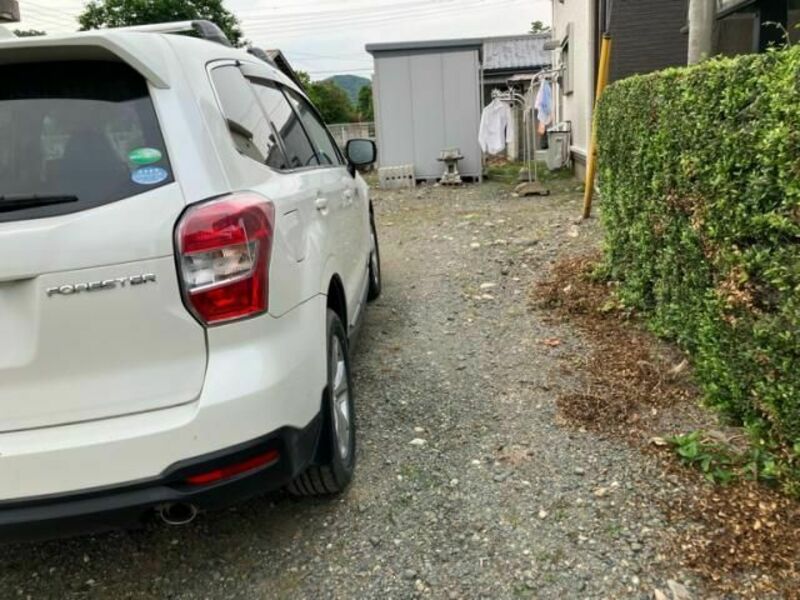 FORESTER