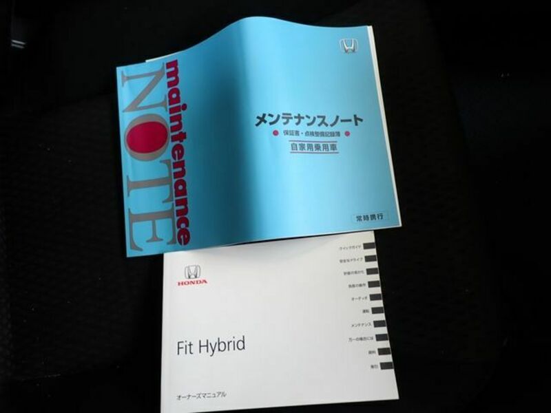 FIT HYBRID-20
