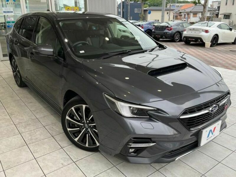LEVORG
