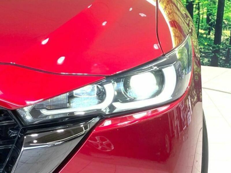 CX-5-11