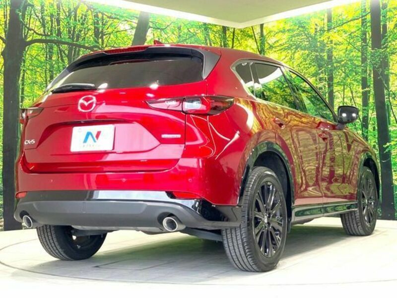 CX-5-16