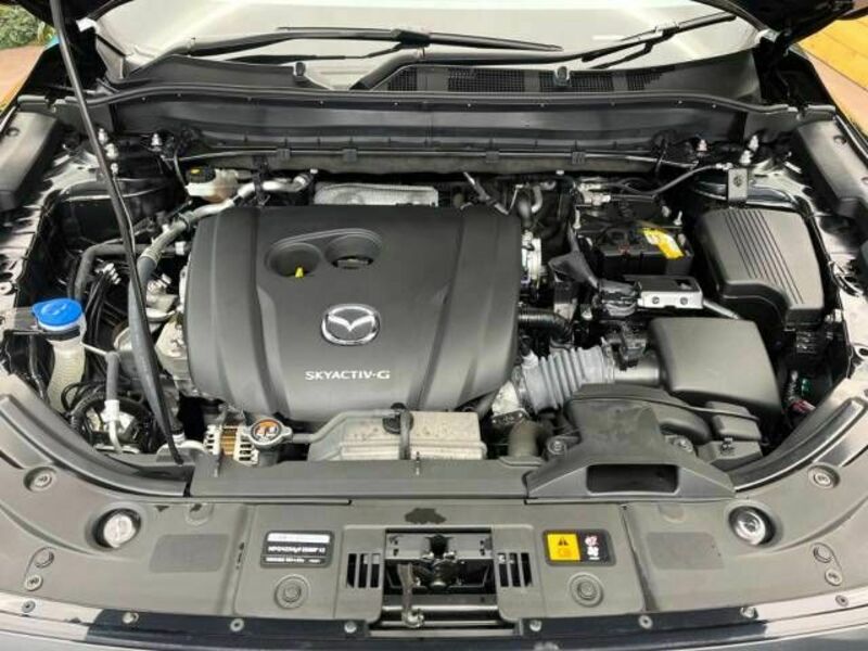 CX-5-17