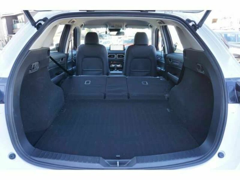CX-5-19