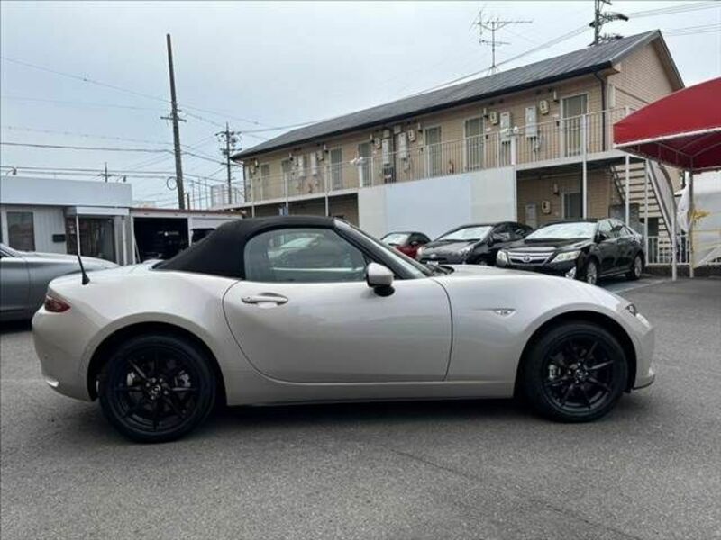 ROADSTER