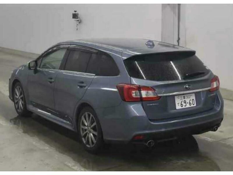 LEVORG