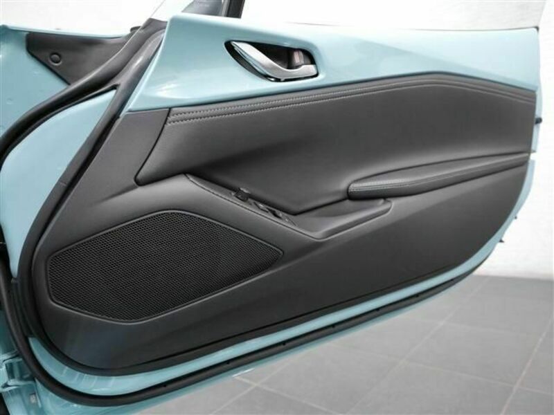ROADSTER