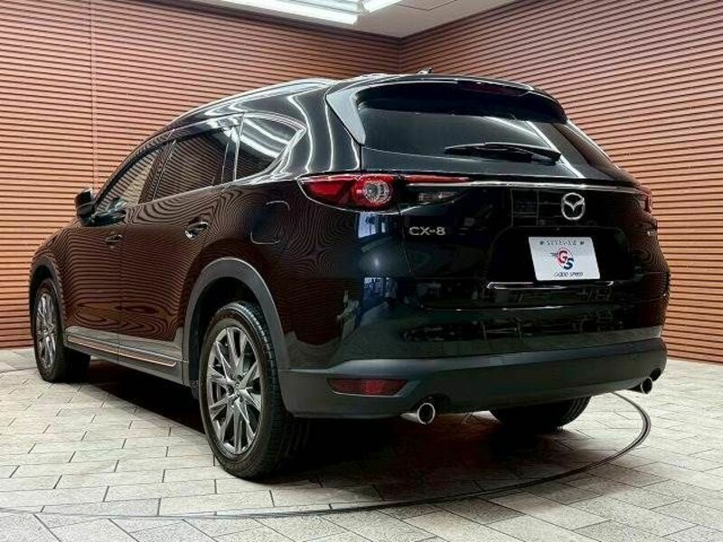 CX-8