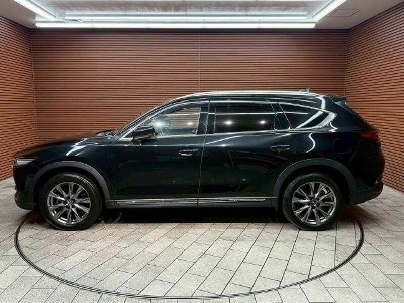 CX-8