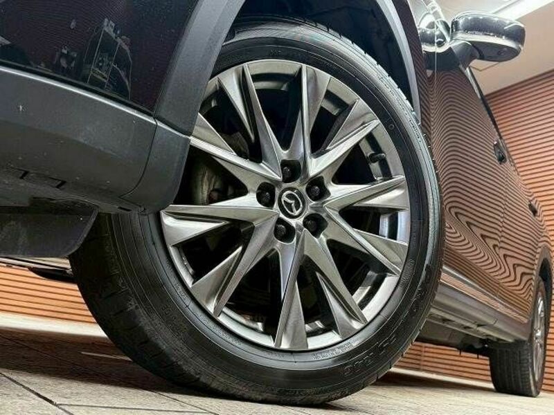 CX-8
