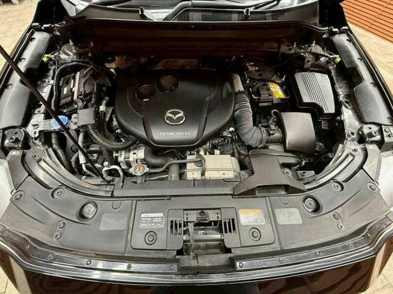 CX-8