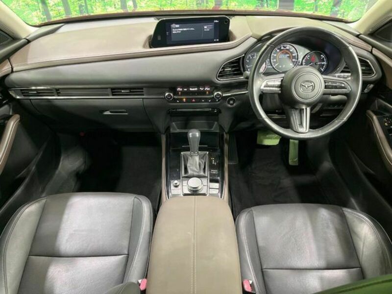 CX-30