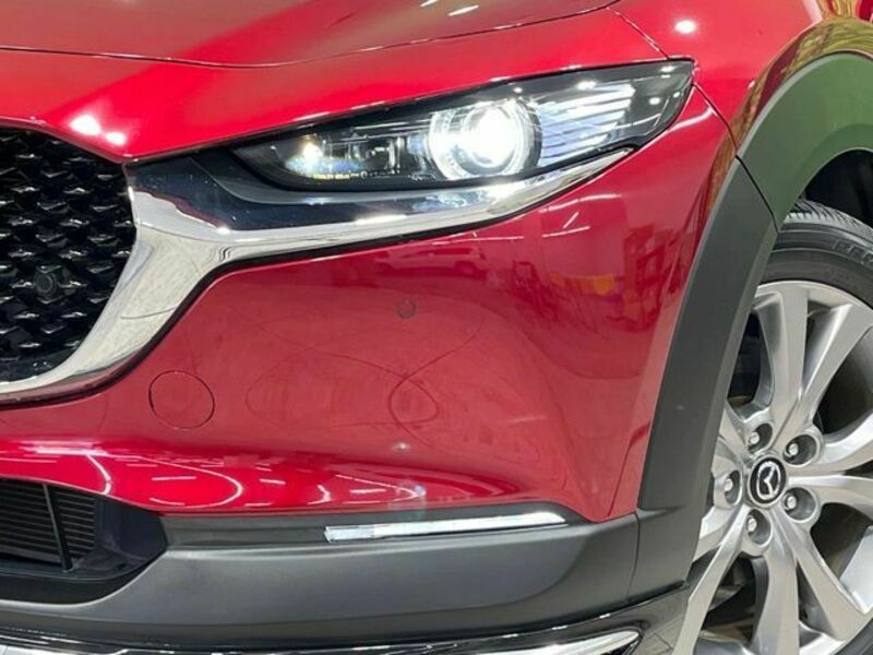 CX-30