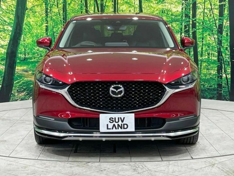 CX-30