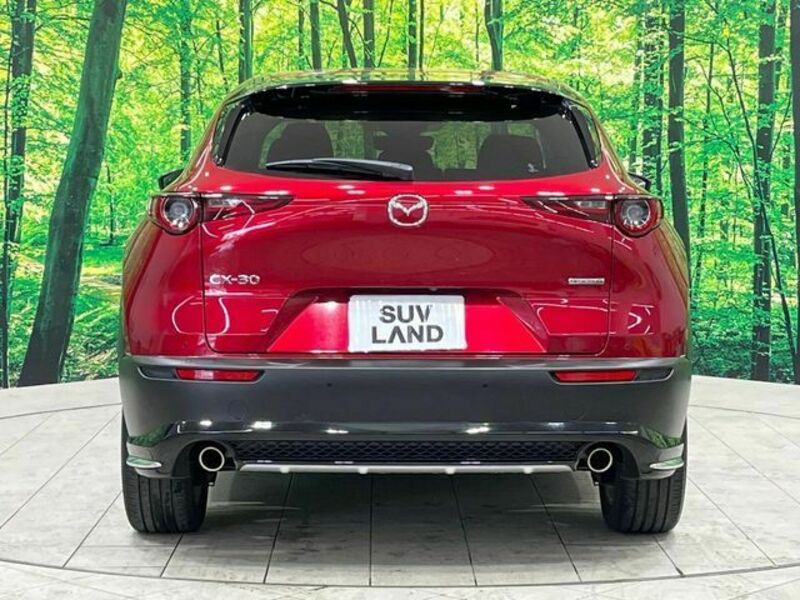 CX-30