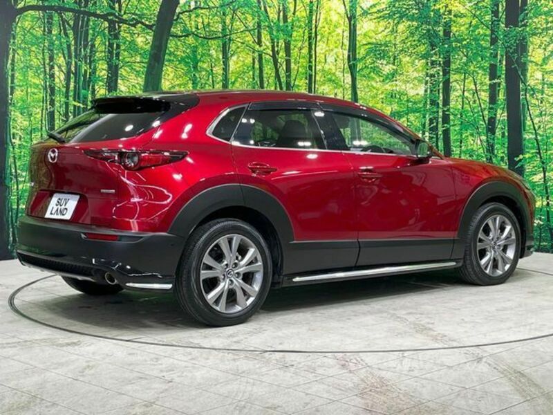 CX-30