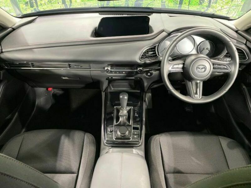 CX-30