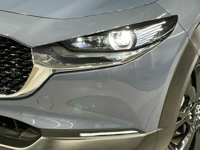 CX-30